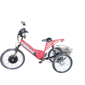 Triciclo Elétrico 800W 15AH Confort Full