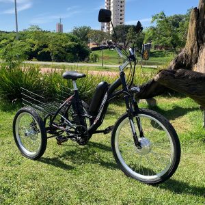 Triciclo Elétrico Modelo Schilder 350 Watts Com Bateria de Lithium