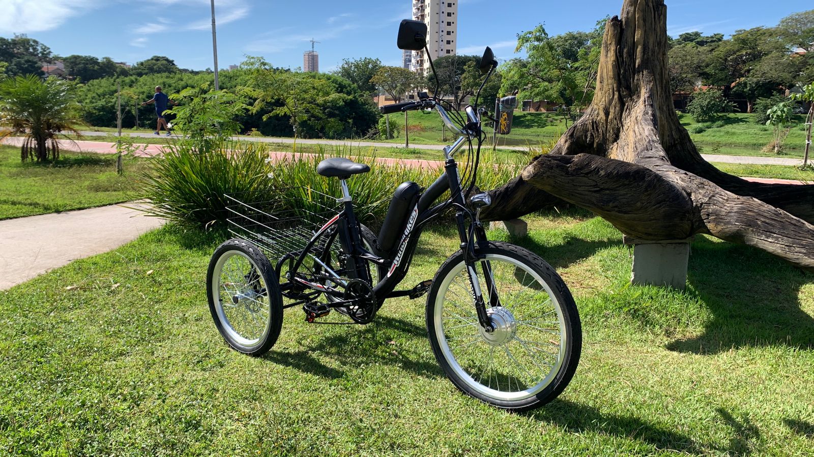 Triciclo Elétrico Modelo Schilder 350 Watts Com Bateria de Lithium