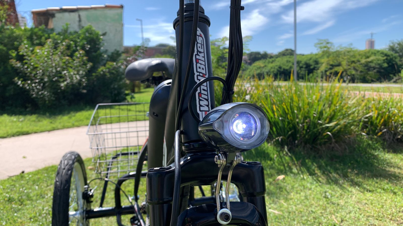 Triciclo Elétrico Modelo Schilder 350 Watts Com Bateria de Lithium - Imagem 2