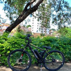 Bicicleta Elétrica 29 Wind Bikes 350 W 36 V Bateria Lithium