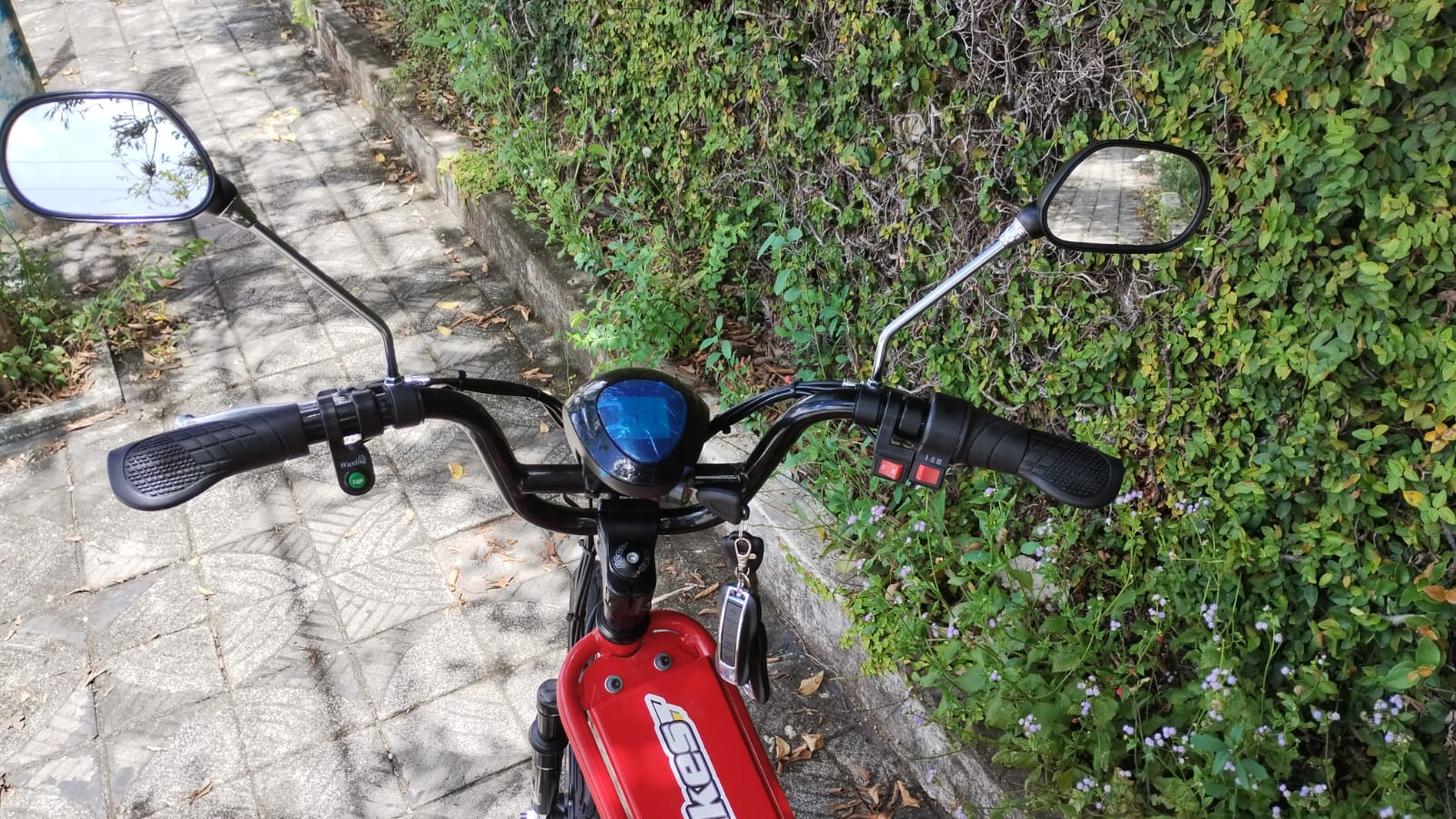 Triciclo Elétrico 800W 15AH Confort Full - Imagem 4