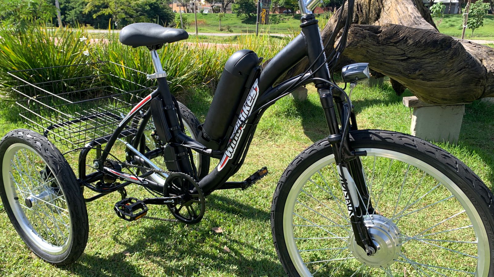 Triciclo Elétrico Modelo Schilder 350 Watts Com Bateria de Lithium - Imagem 3