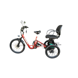 Triciclo Elétrico Duplo 1000W 48V 15Ah Seminovo