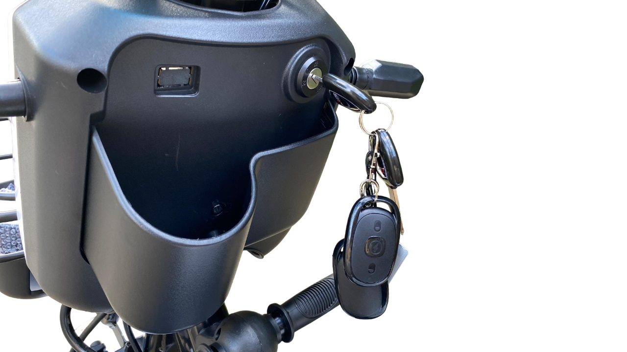 Triciclo Elétrico Fênix 750W 48V 20Ah - Imagem 2