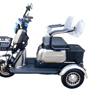 Triciclo Elétrico Fênix 750W 48V 20Ah