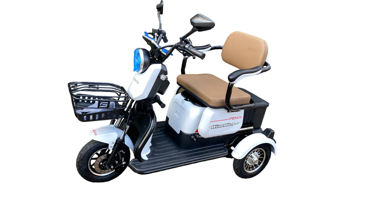 Triciclo Elétrico Fênix 750W 48V 20Ah - Imagem 4