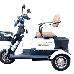 Triciclo Elétrico Fênix 750W 48V 20Ah