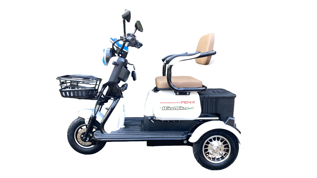 Triciclo Elétrico Fênix 750W 48V 20Ah