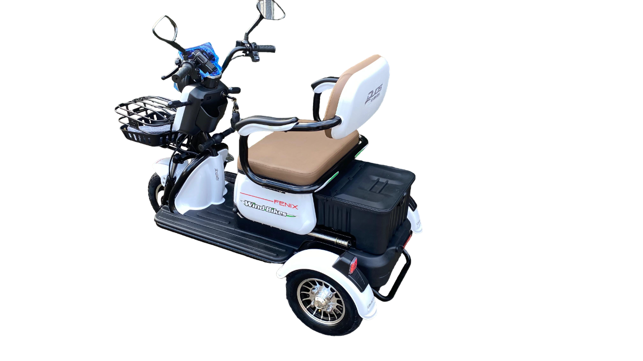 Triciclo Elétrico Fênix 750W 48V 20Ah - Imagem 3
