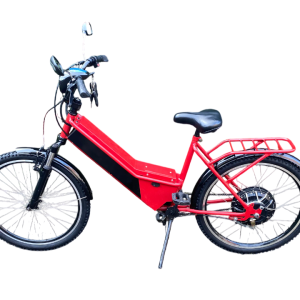Bicicleta Elétrica Modelo Duos 800W 48V 15Ah Seminova