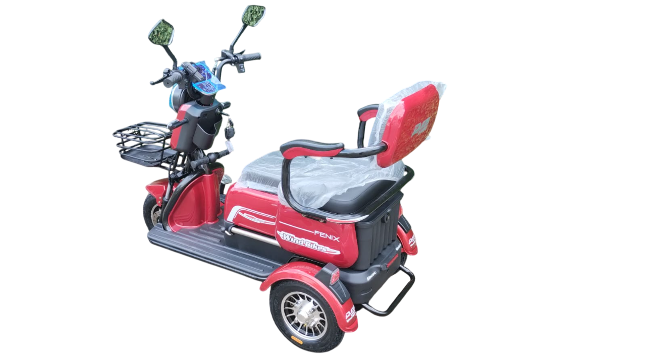 Triciclo Elétrico Fênix 750W 48V 20Ah - Imagem 2