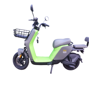 Bicicleta Elétrica Modelo SUDU 1000W 48V 24ah C Lithium