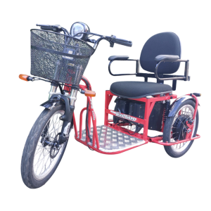 Triciclo Elétrico modelo Advanced 1000 Watts 48 Volts 30ah