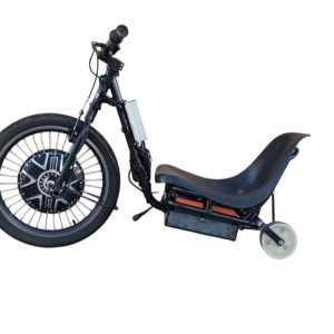 Trike Elétrico 800W 48V 15Ah C/ Detalhes