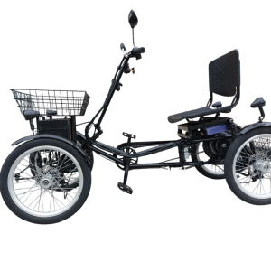 Quadriciclo Elétrico 1000W 48V 20Ah Wind Bikes