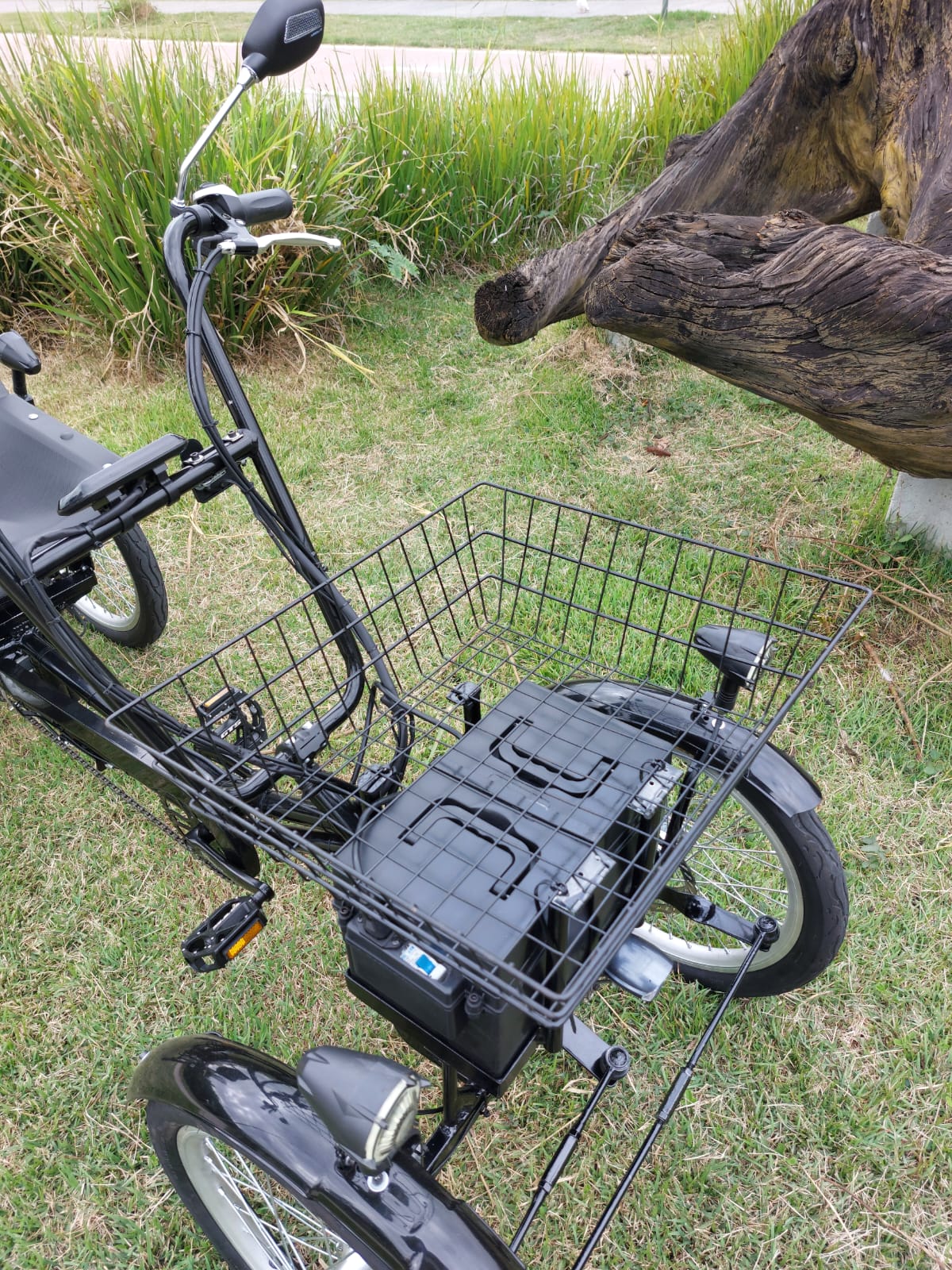 Quadriciclo Elétrico 1000W 48V 20Ah Wind Bikes - Imagem 14