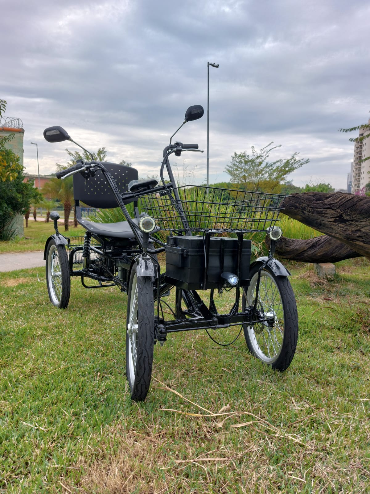 Quadriciclo Elétrico 1000W 48V 20Ah Wind Bikes - Imagem 4