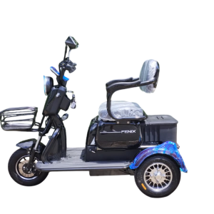 Triciclo Elétrico Fênix 750W 48V 20Ah C/ Bateria Lithium