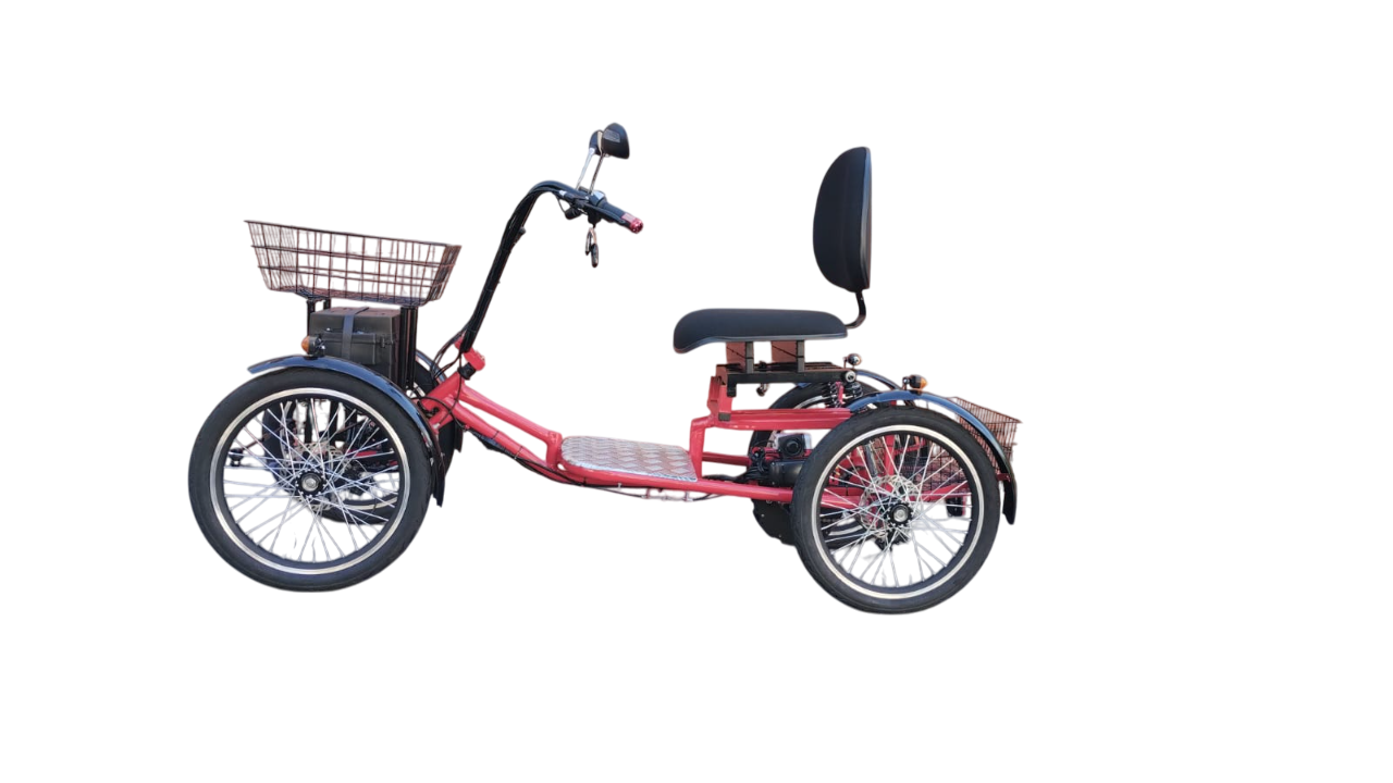 Quadriciclo Elétrico 1000W 48V 28Ah Wind Bikes Modelo 2025.