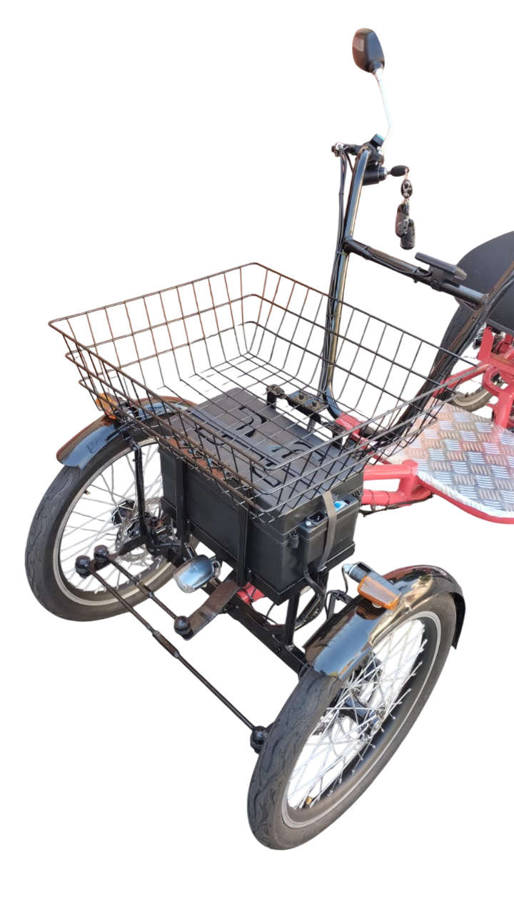 Quadriciclo Elétrico 1000W 48V 28Ah Wind Bikes Modelo 2025. - Imagem 5