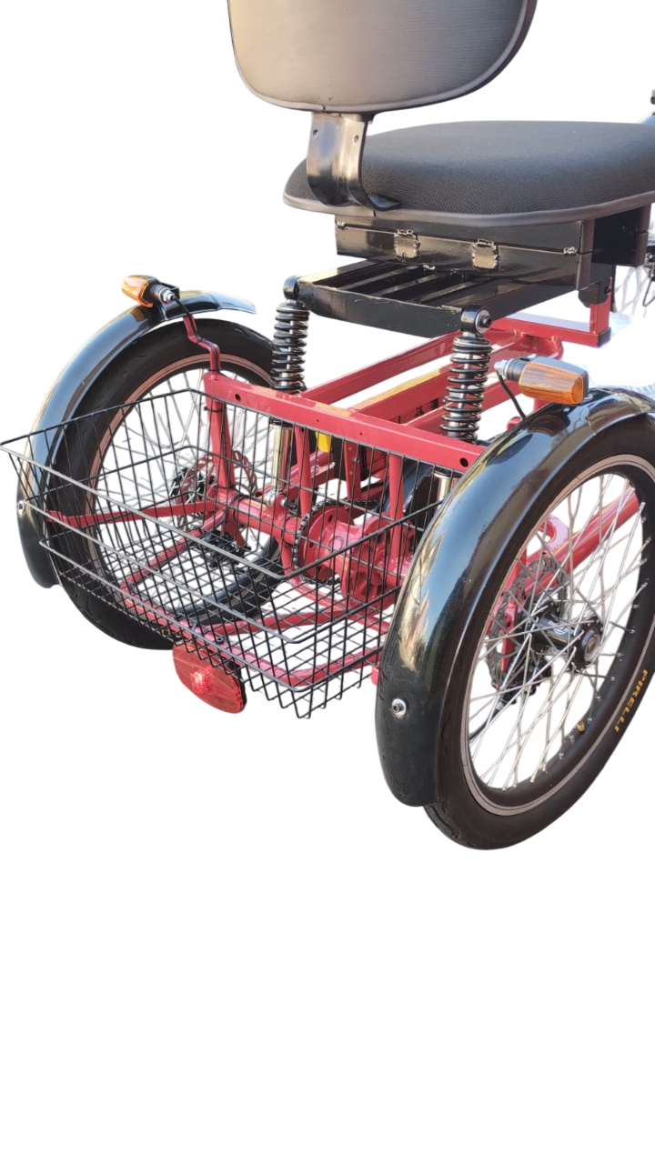 Quadriciclo Elétrico 1000W 48V 28Ah Wind Bikes Modelo 2025. - Imagem 6