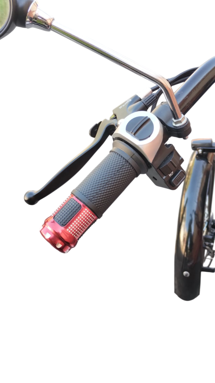 Quadriciclo Elétrico 1000W 48V 28Ah Wind Bikes Modelo 2025. - Imagem 4