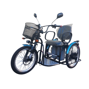 Triciclo Elétrico 700w 36v 30ah Wind Bikes