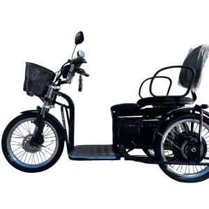 Triciclo Elétrico Advanced 1600W 48V 30Ah Dois Lugares