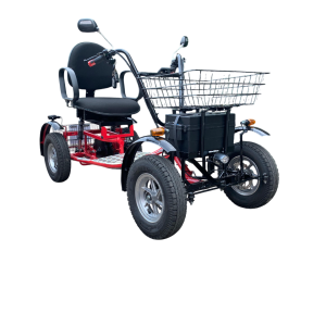 Quadriciclo Elétrico 1000W 48V 20Ah Wind Bikes.